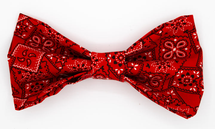 Hey, Y'all!  Western Bow Tie