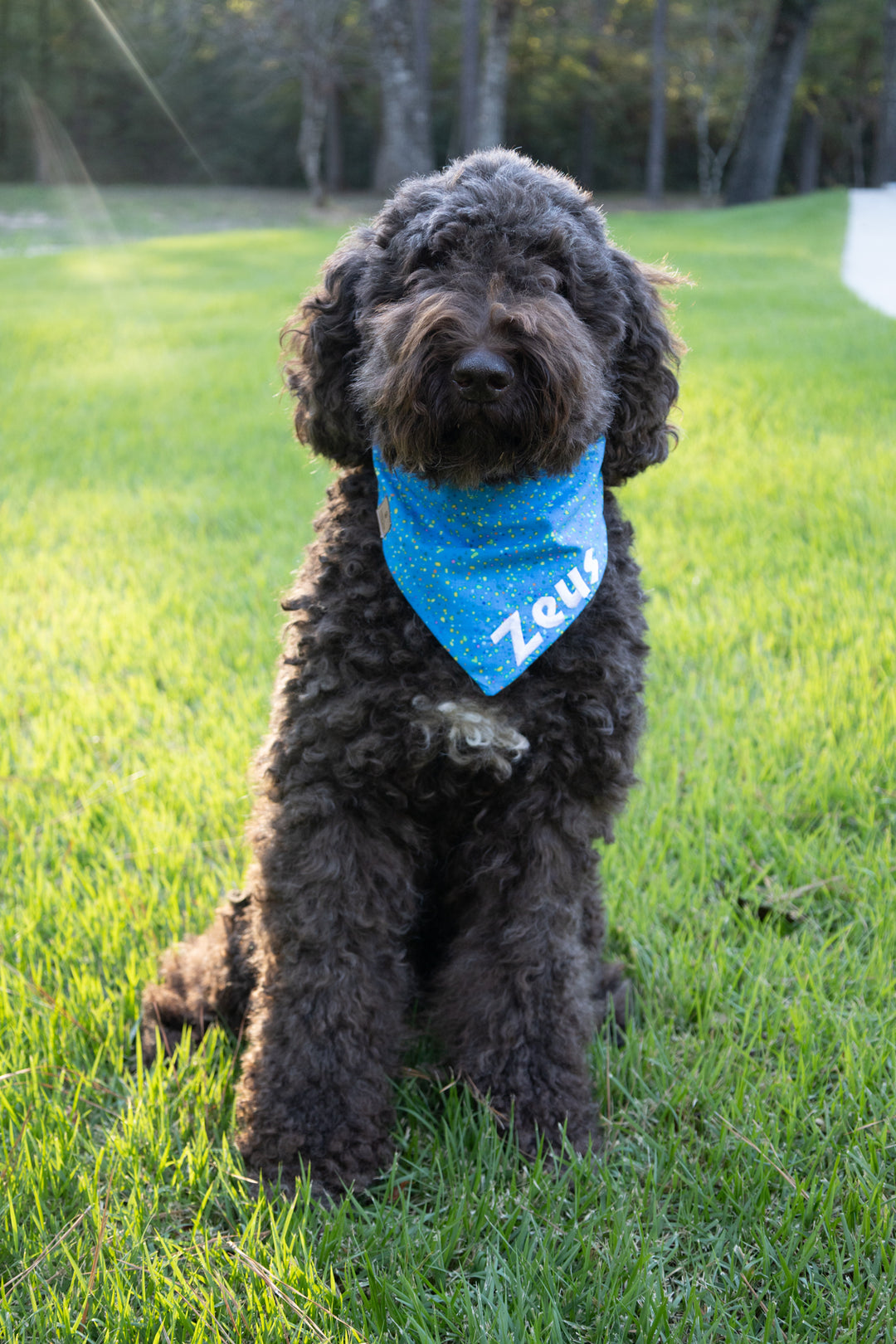 Speckled Splash Bow Tie