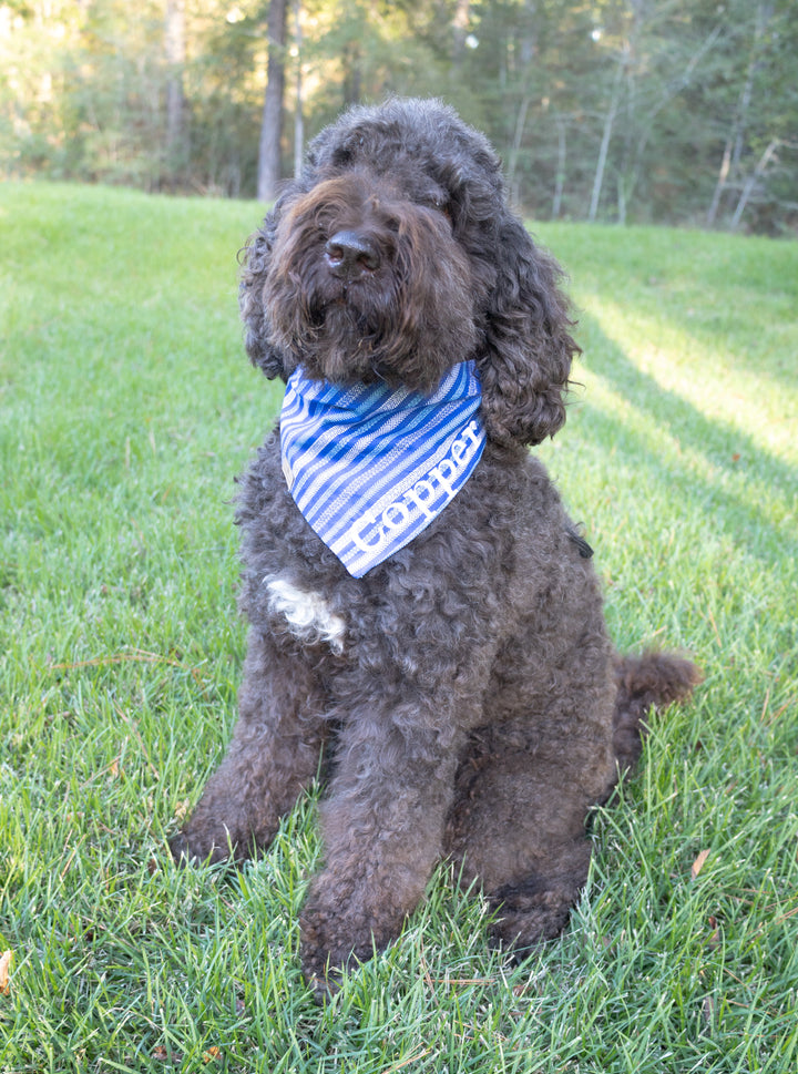 Nautical Stripe Bandana