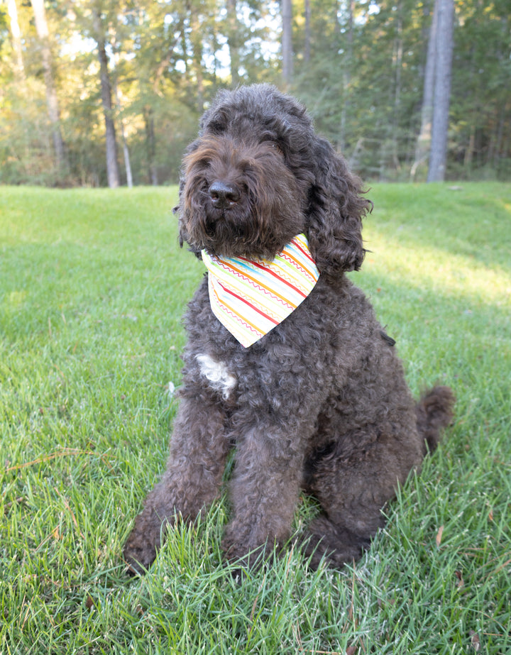 Squiggles & Stripes Bow Tie