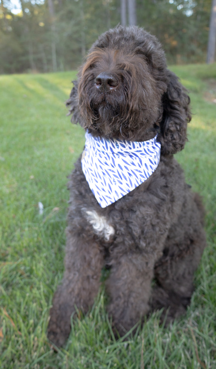 Leaves in the Wind Bandana