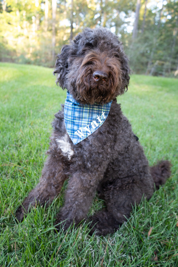 Green & Blue Plaid Bow Tie