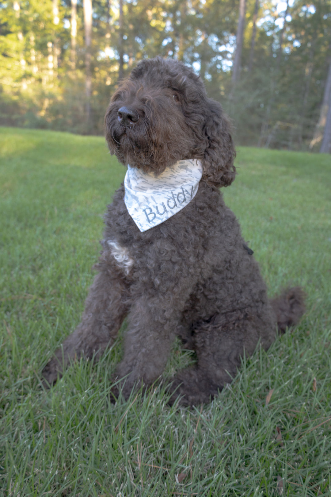 A Whale of a Bandana Bow Tie