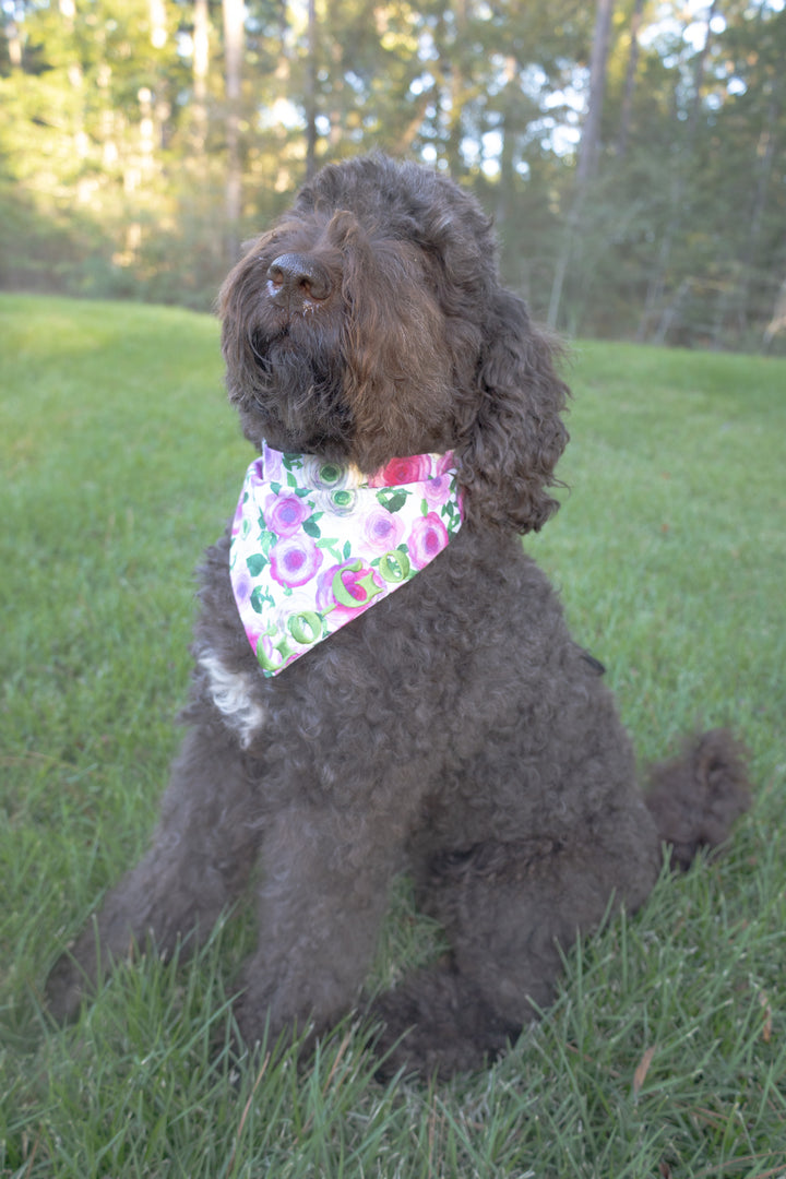 Shades of Pink Flowers Bow Tie