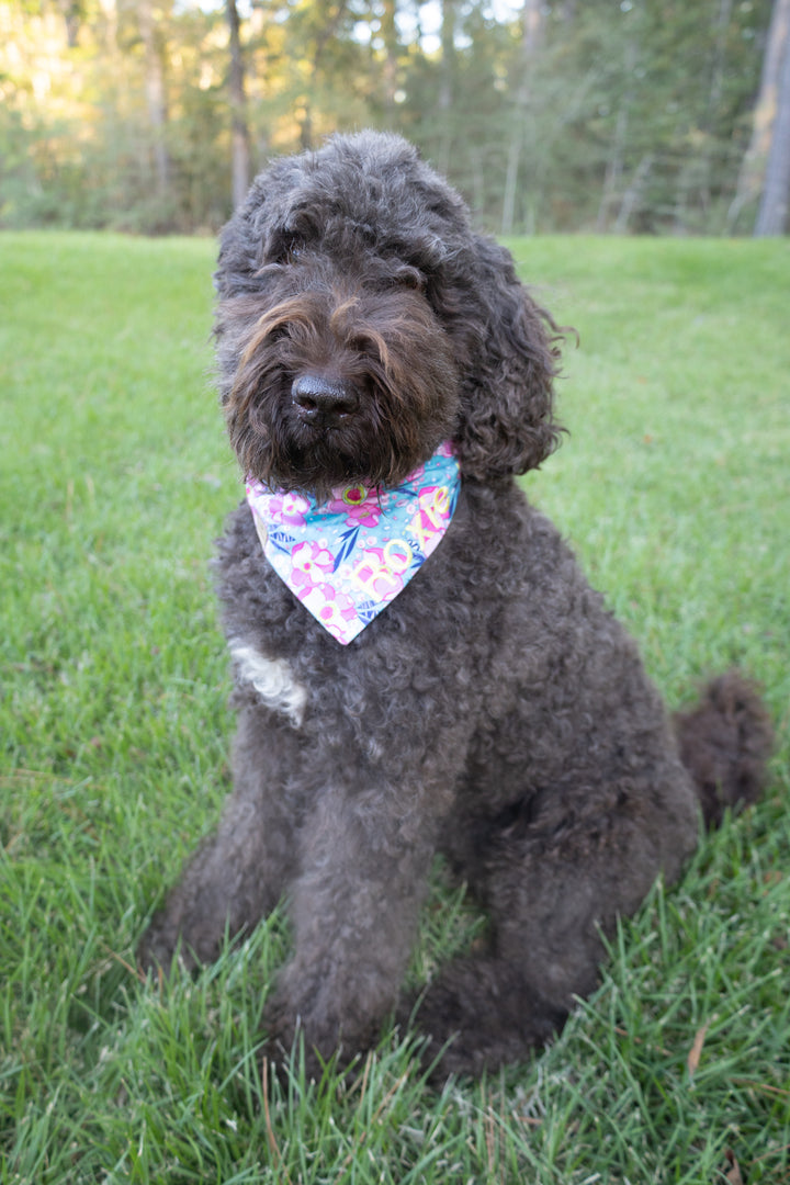 Aloha Bandana Lady Bow