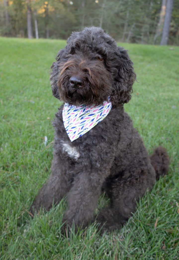 Be-Leaf in Yourself Bandana