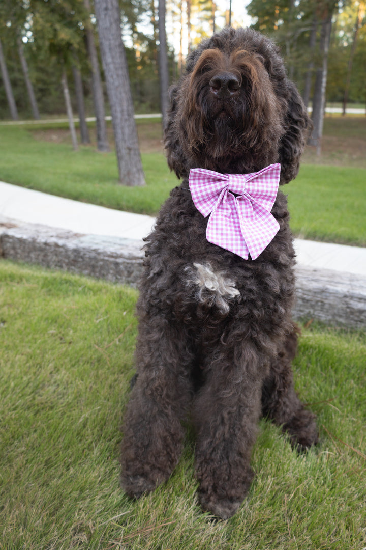 Pretty in Pink Gingham Lady Bow