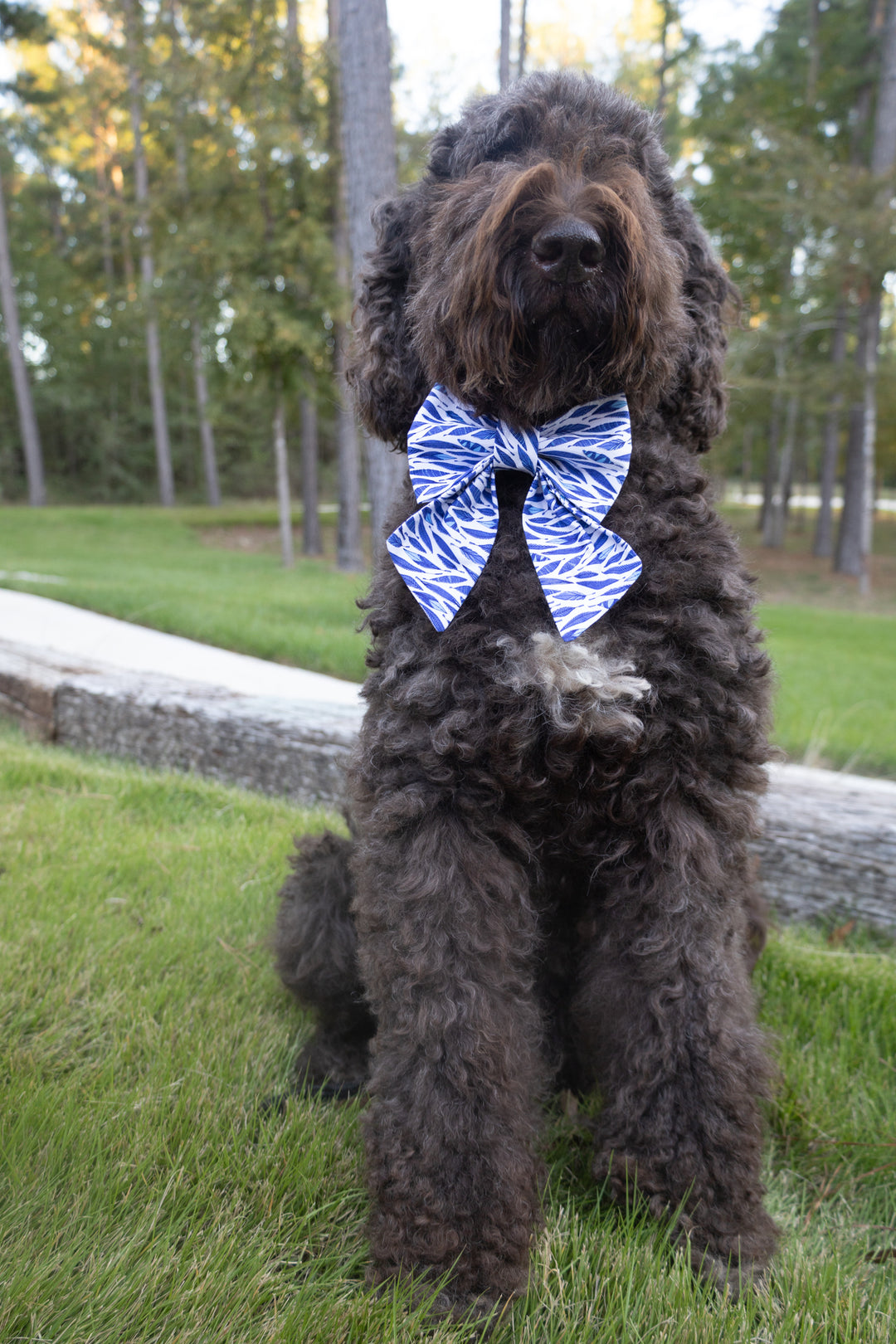 Leaves in the Wind Bandana