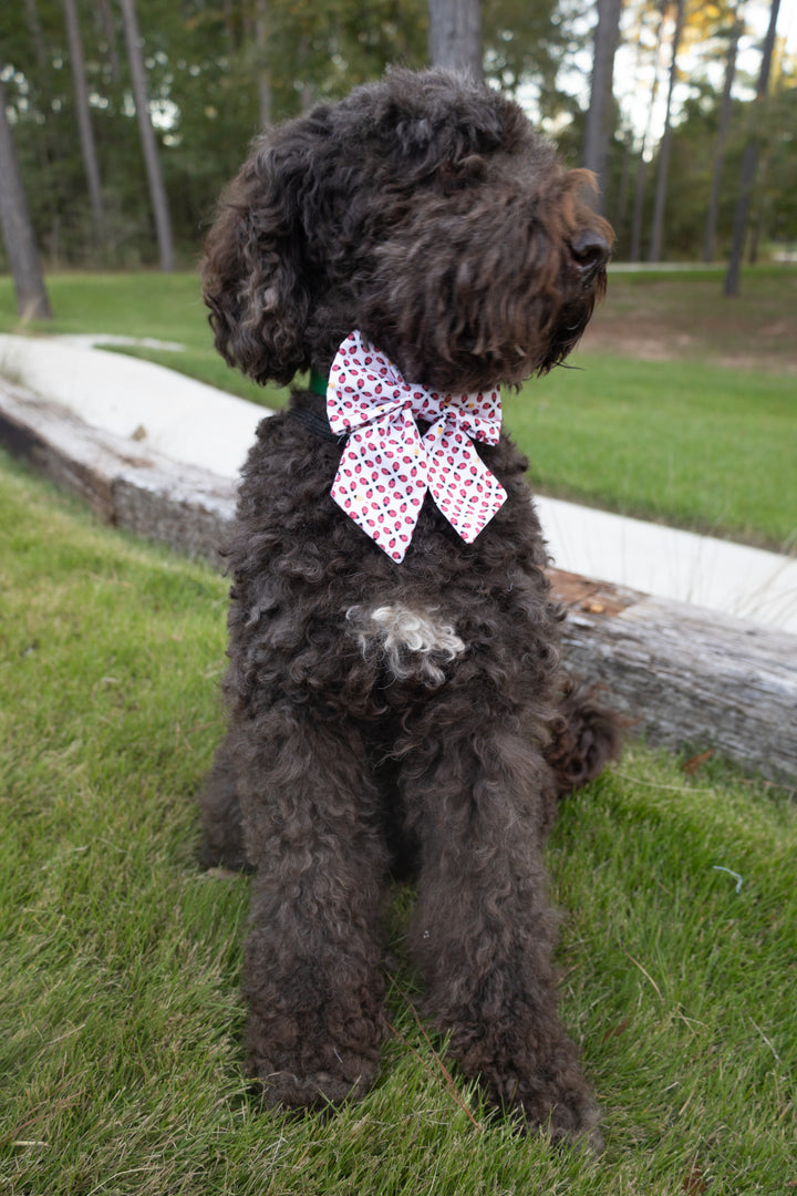 A Loveliness of Ladybugs Bandana