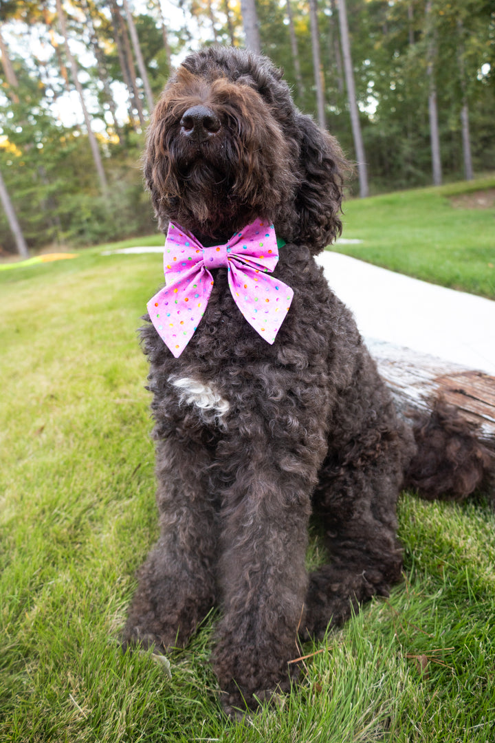 Dots on Pink Lady Bow