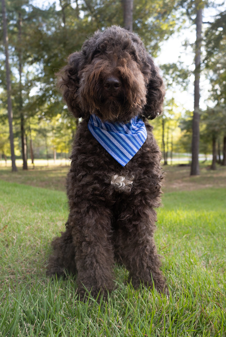 Nautical Stripe Bandana