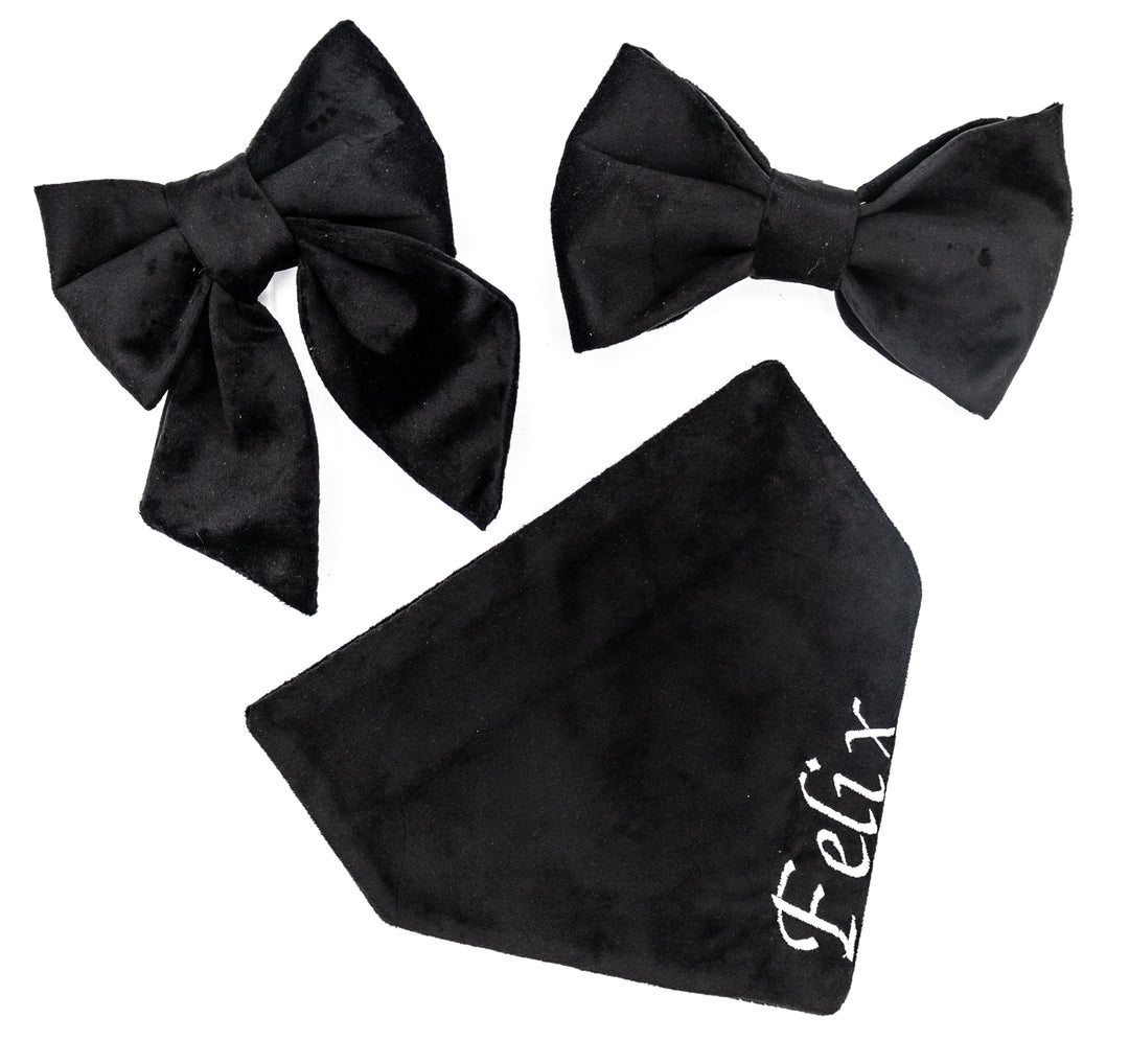 Black Tie Affair Velvet Holiday Bandana