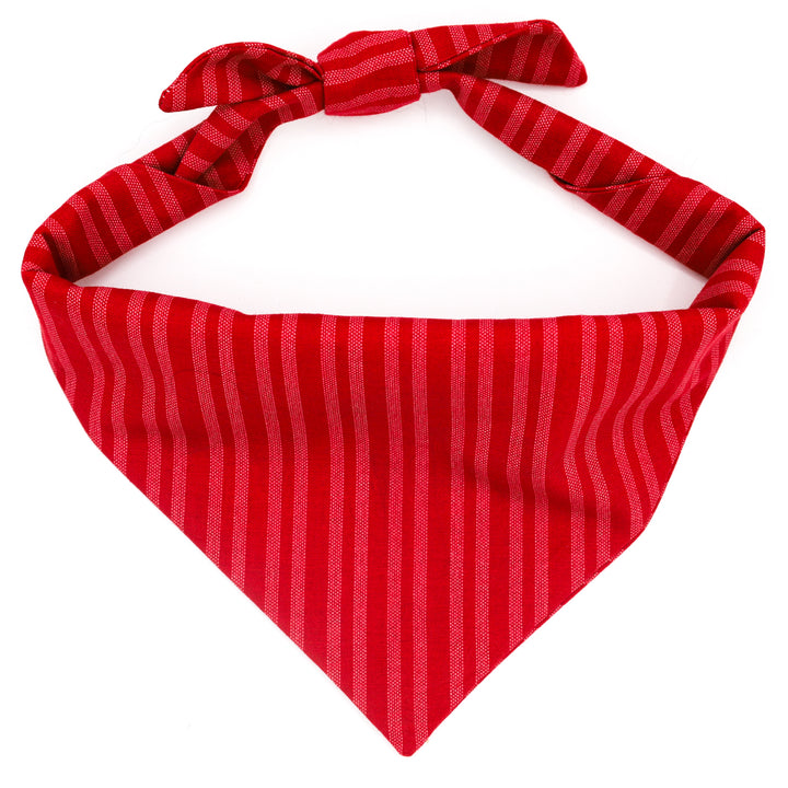 True Love  Valentine Lady Bow